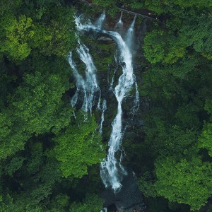 陽離子聚丙烯酰胺的化學性質